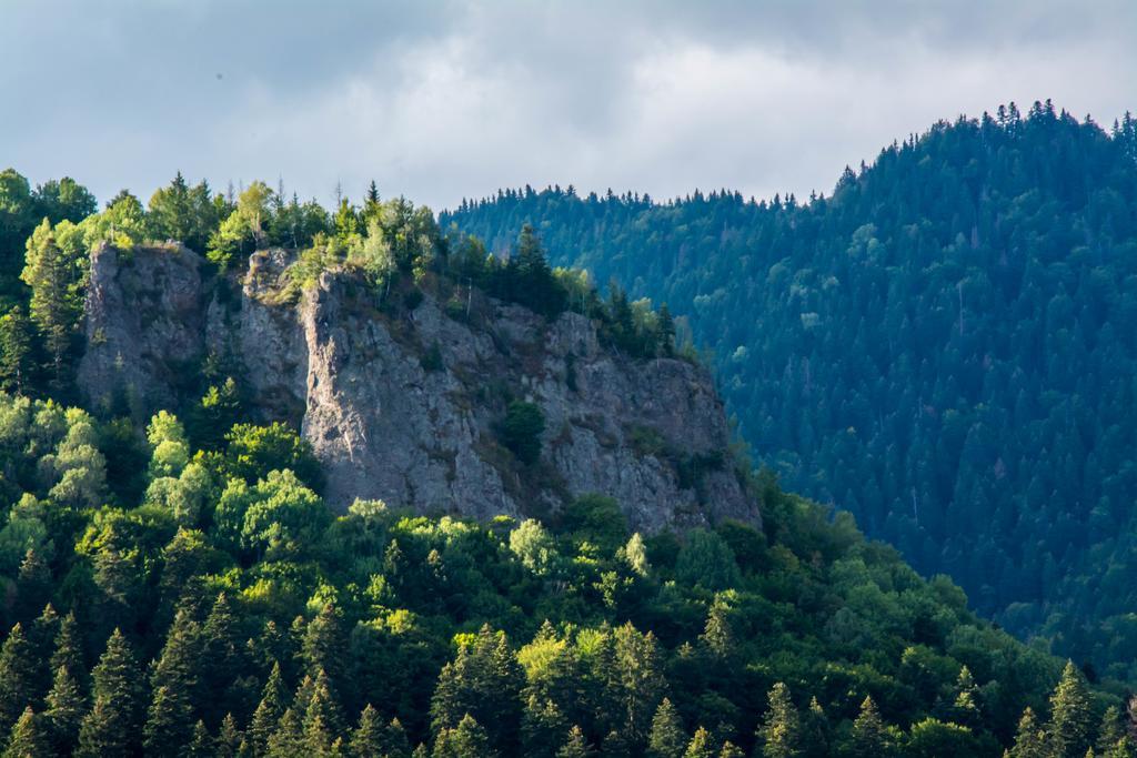 Complex Anna Baile Tusnad Bagian luar foto